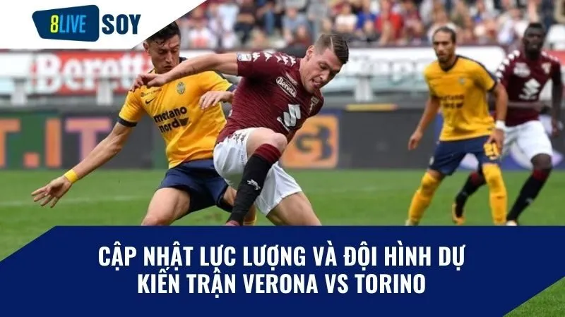 Cập nhật lực lượng và đội hình dự kiến trận Verona vs Torino