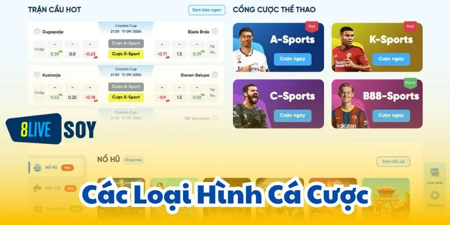 Các Loại Hình Cá Cược