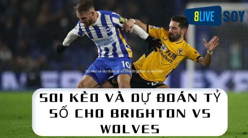 Soi kèo và dự đoán tỷ số cho Brighton vs Wolves