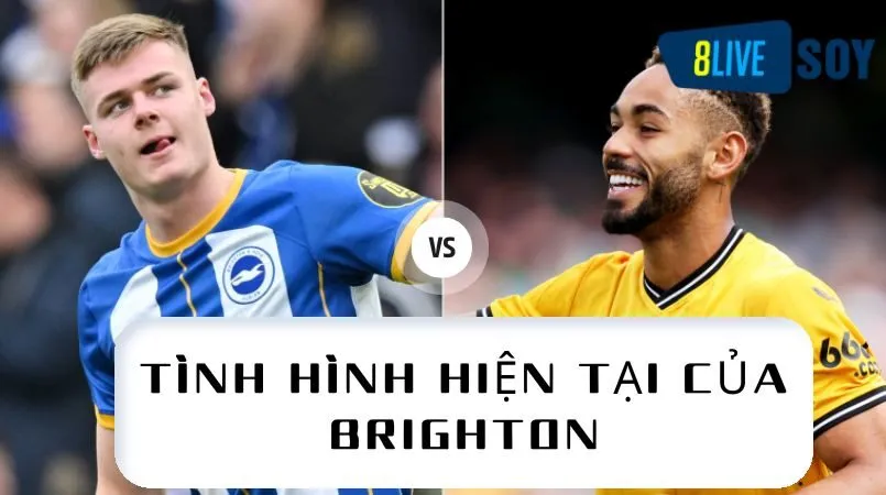 Tình hình hiện tại của Brighton