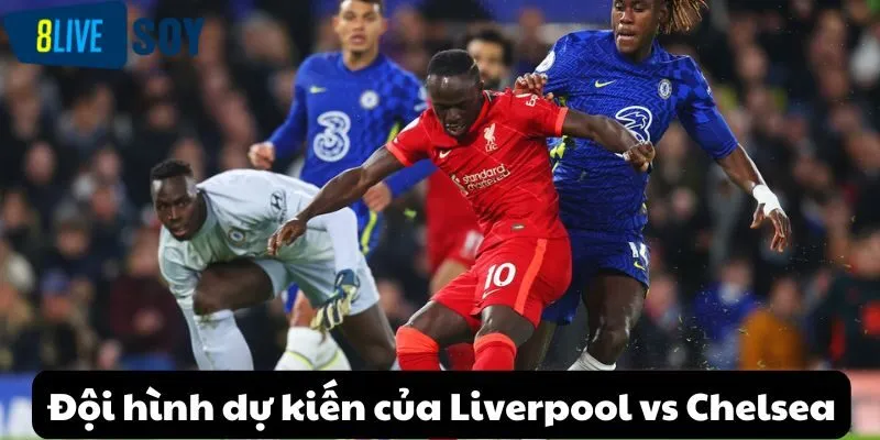 Đội hình dự kiến của Liverpool vs Chelsea