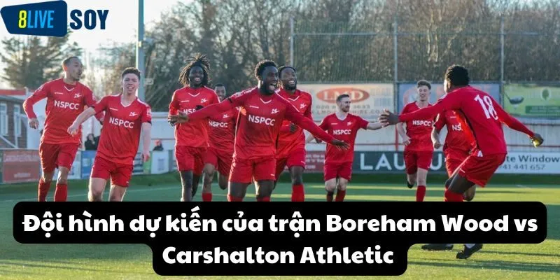 Đội hình dự kiến của trận Boreham Wood vs Carshalton Athletic