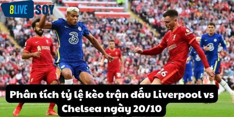 Phân tích tỷ lệ kèo trận đấu Liverpool vs Chelsea ngày 20/10