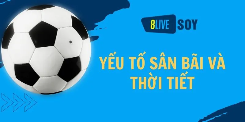 Tìm hiểu kỹ về đội hình ra sân, chiến thuật thi đấu của cả hai đội bóng