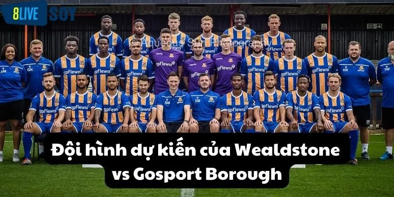 Đội hình dự kiến của Wealdstone vs Gosport Borough